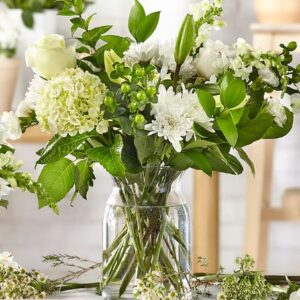 CLASSIC IVORY