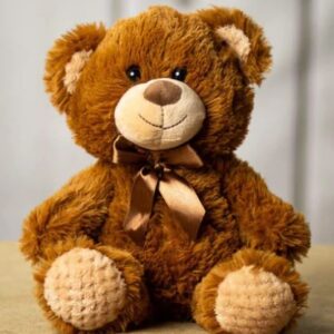 TEDDY BEAR